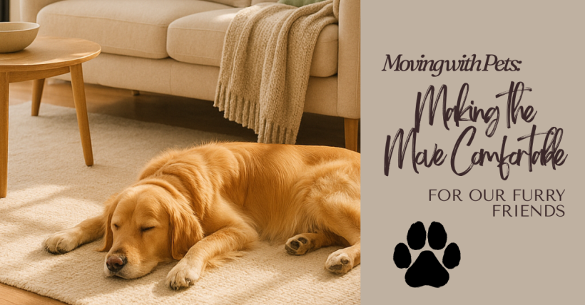 Moving with Pets: Making the Move Comfortable for Everyone